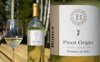 Вино Pinot Grigio — популярный напиток из Италии